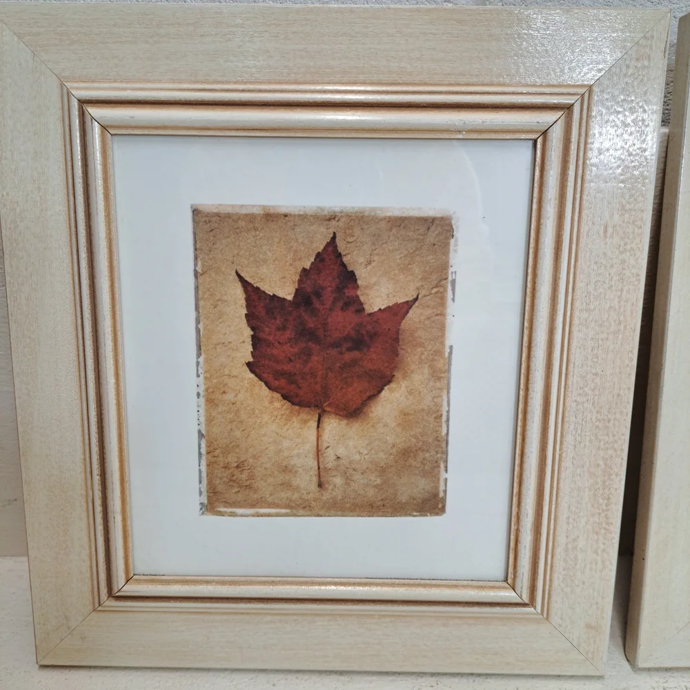 Deborah‎ Schenck Framed Autumn Leaf Prints Wall Art In Blonde Wood Frame Set